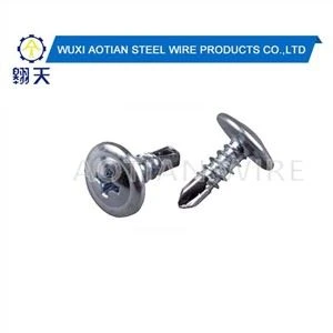 Strus Head Screw